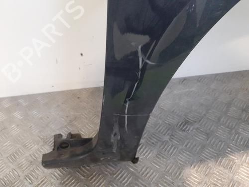 Right front fenders RENAULT CLIO III (BR0/1, CR0/1) 1.5 dCi (C/BR0G, C/BR1G) | BP24849801C42 