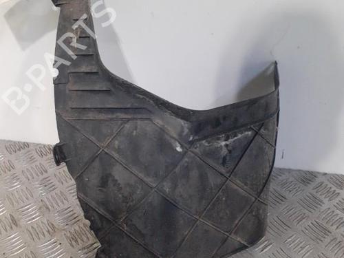 Wheel arch NISSAN QASHQAI I (J10, NJ10)  | BP24751091C56 