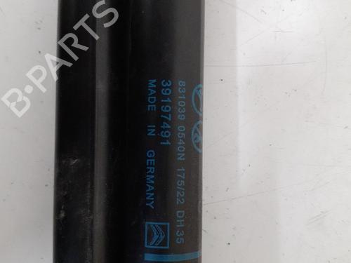 Amortecedor da mala Amortecedor da mala 24760704 24760704