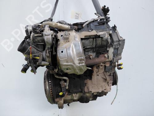 Engine RENAULT KANGOO Express (FW0/1_) | BP36055744M1 - Image 7