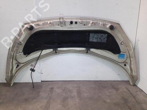 Used Hood RENAULT SCÉNIC II (JM0/1_) 2.0 dCi (JM1K) (150 hp) 24760442