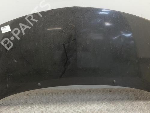 Capot Capot RENAULT TWINGO II (CN0_) 1.5 dCi (CN0E) (64 hp) 36481279 36481279