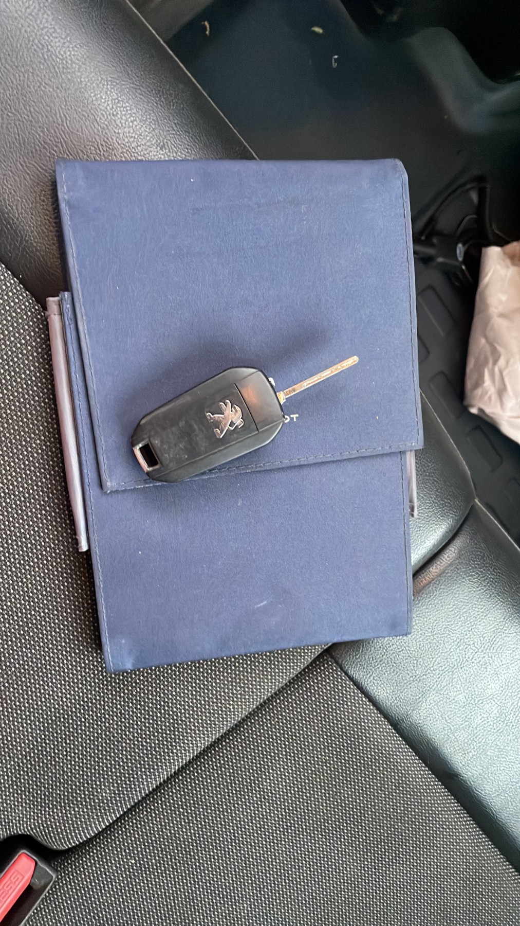 Front right interior door handle PEUGEOT EXPERT Van (V_) 2.0 BlueHDi 120 | BP28819054I14 - Image 4