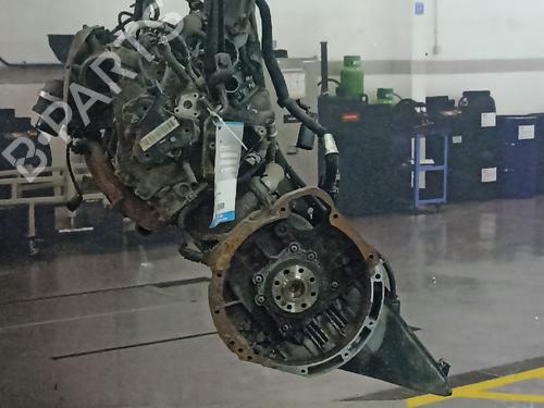 Used Engine Engine 38882556 38882556