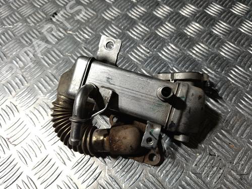 Used Egr Egr 38891057 38891057