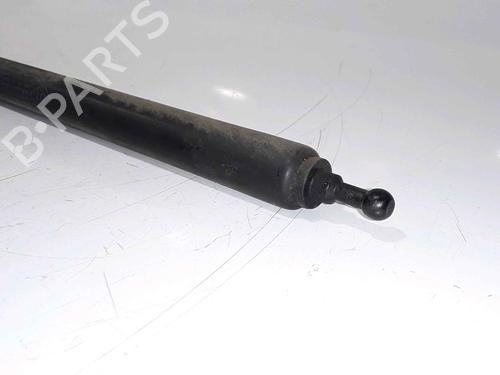 Hood lift support RENAULT MEGANE III Hatchback (BZ0/1_, B3_) 1.5 dCi (BZ09, BZ0D, BZ1W, BZ29, BZ14) | BP25167828C139 