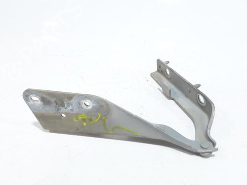 Hinge/Door check strap CITROËN C3 I (FC_, FN_) 1.4 16V HDi | BP27216724C146 