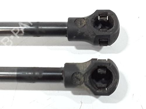 Tailgate lift support RENAULT SCÉNIC III (JZ0/1_) 1.9 dCi (JZ0J, JZ1J, JZ1K, JZ1S) | BP29576909C138
