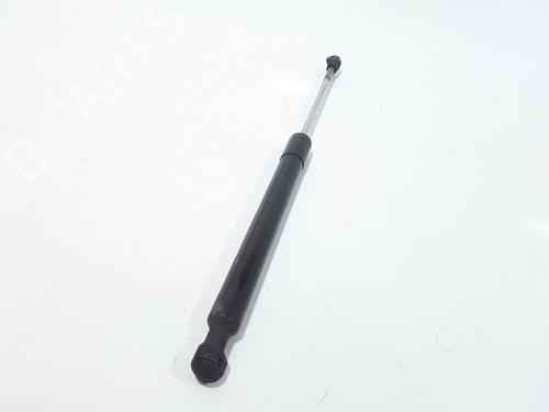 Hood lift support RENAULT CLIO IV (BH_) 1.5 dCi 90 | BP25167689C139 