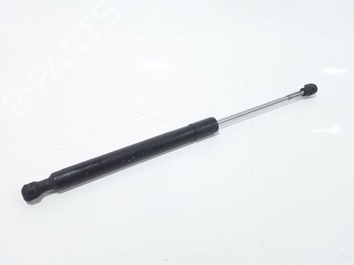 Hood lift support RENAULT CLIO IV (BH_) 1.5 dCi 90 | BP25167689C139 