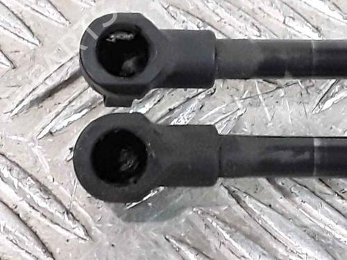 Hood lift support BMW 3 (E90) 325 d | BP25167750C139