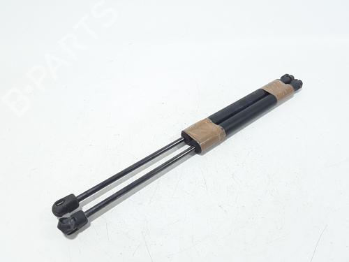 Tailgate lift support VW GOLF VI (5K1) 1.6 TDI | BP25167967C138 