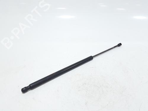 Hood lift support LAND ROVER RANGE ROVER SPORT I (L320) 3.6 D 4x4 | BP25167210C139 