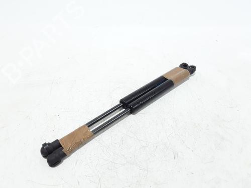Hood lift support CITROËN DS5 2.0 HDi 165 | BP25167197C139 