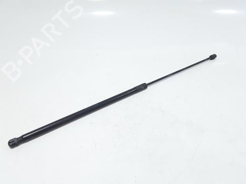 Hood lift support AUDI A4 B8 Avant (8K5) 2.0 TDI | BP25167836C139 