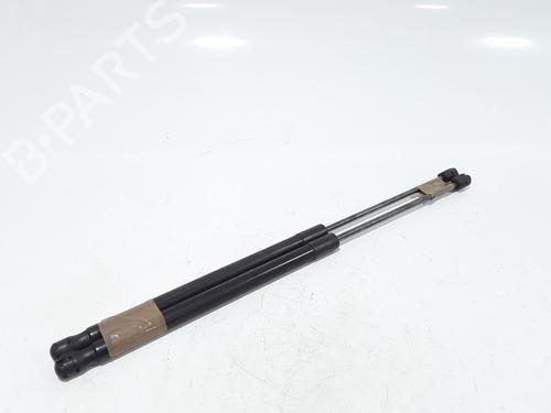 Tailgate lift support FORD FIESTA VI (CB1, CCN) 1.25 | BP25767559C138 
