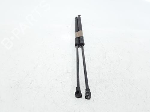 Tailgate lift support NISSAN QASHQAI I (J10, NJ10) 1.5 dCi | BP25167886C138 