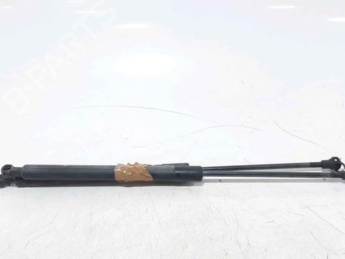 Tailgate lift support PEUGEOT 208 I (CA_, CC_) 1.4 HDi | BP25168678C138