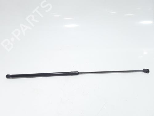 Hood lift support VW GOLF VII (5G1, BQ1, BE1, BE2) 1.4 TSI | BP25167833C139 
