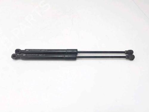Used Hood lift support RENAULT KANGOO Express (FW0/1_) 1.5 dCi 75 (FW07, FW10, FW04) (75 hp) 25167791
