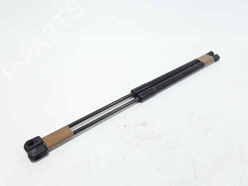 Tailgate lift support AUDI A3 Sportback (8PA) 1.6 TDI | BP25168900C138 