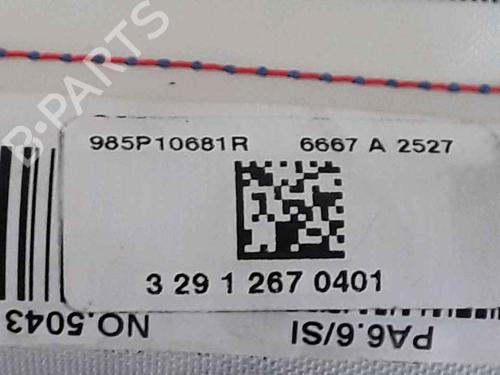 Other RENAULT SCÉNIC III (JZ0/1_) 1.5 dCi | BP25160756O1 