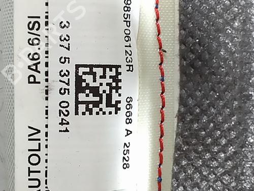 Right curtain airbag RENAULT SCÉNIC III (JZ0/1_) 1.5 dCi | BP29144219C12 
