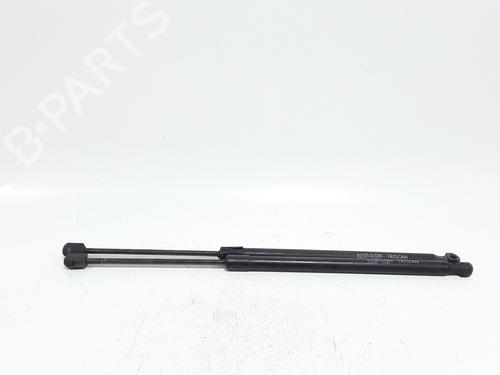 Gasdæmper bagklap Gasdæmper bagklap RENAULT SCÉNIC II (JM0/1_) 1.9 dCi (JM0G, JM12, JM1G, JM2C) (120 hp) 36004767 36004767