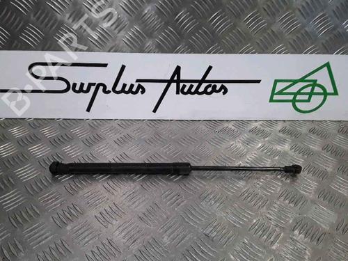 Used Hood lift support VW TOURAN (1T1, 1T2) 1.9 TDI (105 hp) 25167668