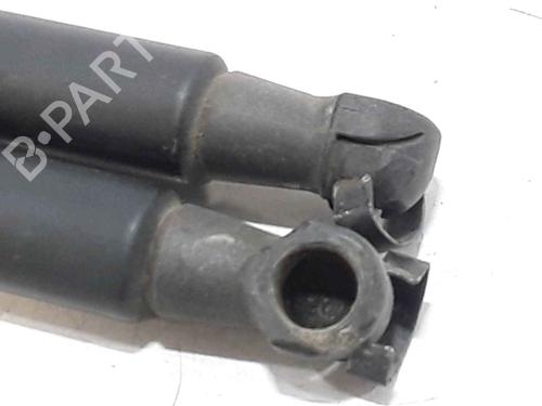 Tailgate lift support NISSAN QASHQAI I (J10, NJ10) 1.5 dCi | BP25168409C138 