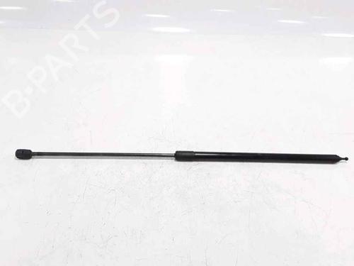 Used Hood lift support RENAULT MEGANE III Hatchback (BZ0/1_, B3_) 1.5 dCi (BZ09, BZ0D, BZ1W, BZ29, BZ14) (110 hp) 25167611