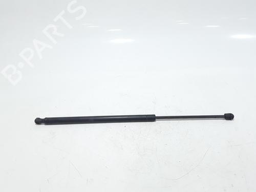 Used Tailgate lift support LAND ROVER RANGE ROVER SPORT I (L320) 3.6 D 4x4 (272 hp) 25167934