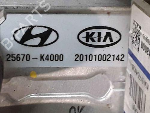 Egr HYUNDAI KONA (OS, OSE, OSI) EV | BP25171387M69 