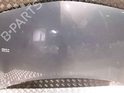 Used Hood RENAULT MEGANE II (BM0/1_, CM0/1_) 1.5 dCi (BM1E, CM1E) (106 hp) 25167510