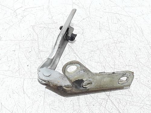Hinge/Door check strap VW POLO (9N_, 9A_)  | BP25775873C146 