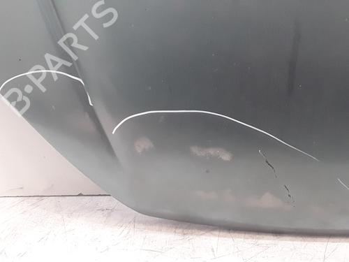 Hood PEUGEOT 206 Hatchback (2A/C) 2.0 HDI 90 | BP29170342C1 