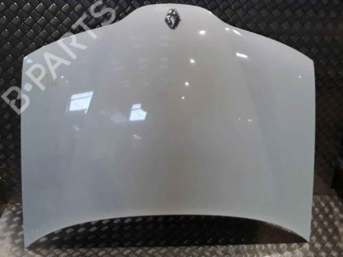 Used Hood PEUGEOT 106 II (1A_, 1C_) 1.1 i (60 hp) 25167558