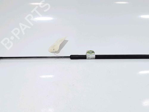 Hood lift support VW PASSAT B6 (3C2) 1.9 TDI | BP25167818C139 