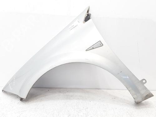 Left front fenders RENAULT MEGANE II (BM0/1_, CM0/1_) 1.5 dCi (BM0F, BM0T, BM2B, CM0F, CM0T) | BP25883890C41 