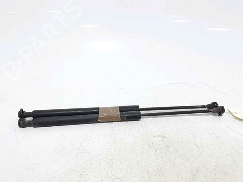 Tailgate lift support RENAULT CLIO IV (BH_) 1.2 16V | BP25168560C138 