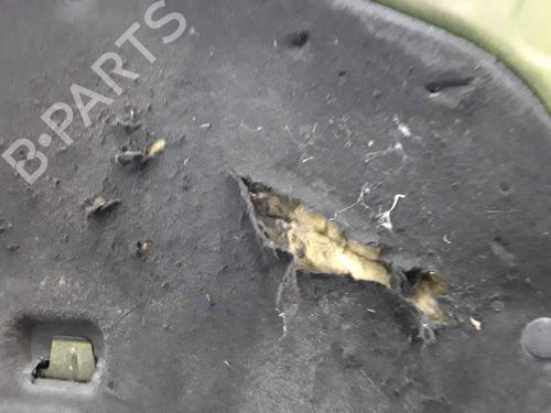 Hood RENAULT CLIO III (BR0/1, CR0/1) 1.5 dCi (BR0H, CR0H, CR1S, BR1S) | BP25167545C1 
