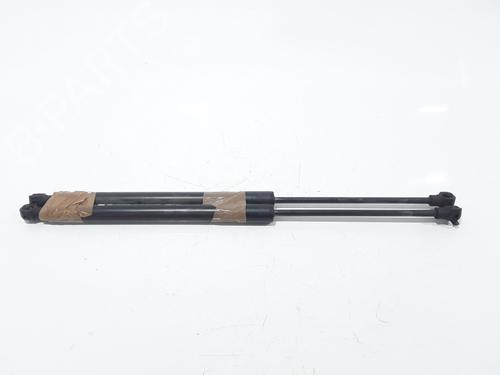 Used Tailgate lift support RENAULT CLIO IV (BH_) 1.5 dCi 90 (90 hp) 25168735