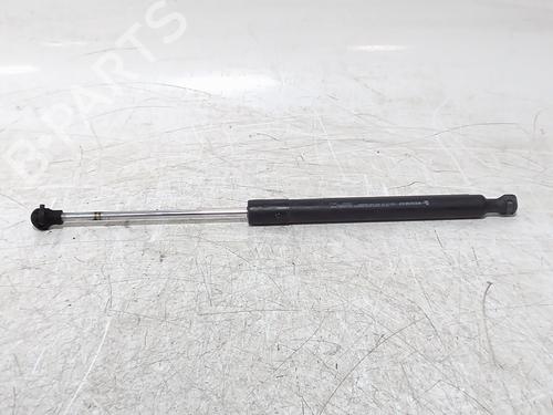 hood-lift-support-renault-clio-iv-bh_-2012-2013-2014-2015-2016-2017-2018-2019-2020-2021-36097766 main image