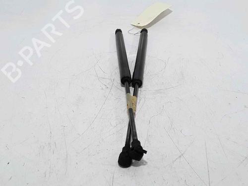 Tailgate lift support RENAULT CLIO IV (BH_) 1.5 dCi 75 | BP25168828C138 