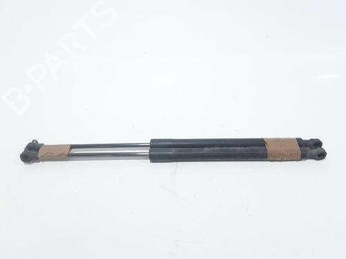 Tailgate lift support RENAULT CLIO IV (BH_) 1.5 dCi 75 | BP25767406C138 