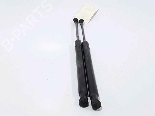 Tailgate lift support RENAULT CLIO IV (BH_) 1.5 dCi 90 | BP25168589C138 