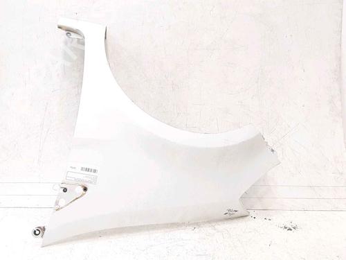 Left front fenders RENAULT CLIO III (BR0/1, CR0/1) 1.5 dCi (C/BR0G, C/BR1G) | BP25182066C41