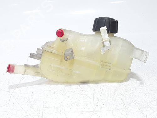 Used Expansion tank RENAULT MEGANE III Hatchback (BZ0/1_, B3_) 1.5 dCi (106 hp) 29144203