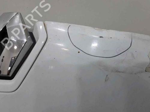Hood RENAULT MEGANE III Coupe (DZ0/1_) 1.6 dCi (DZ00, DZ12, DZ2A, DZ13) | BP25167450C1 