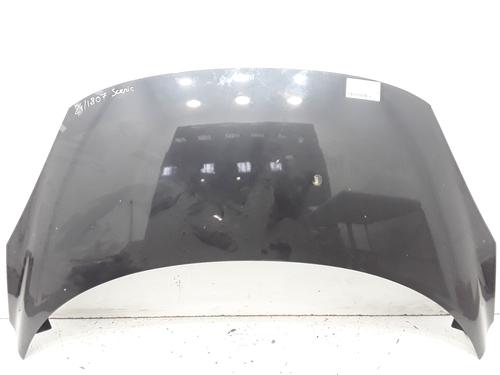 Used Hood RENAULT SCÉNIC III (JZ0/1_) 1.5 dCi (110 hp) 25167217